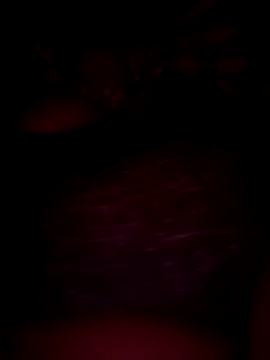 pihuu1313 online show from 02-20-26, 07:58