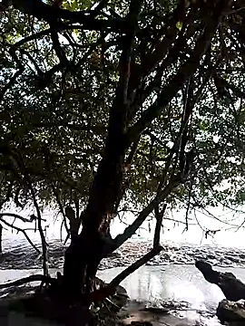 Andreskelly online show from 02-13-26, 09:22