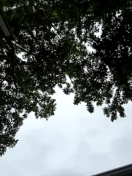 Snapshot of cmvoo chatting on 12-21-25, 06:53 cmvoo online show from 12-21-25, 06:53