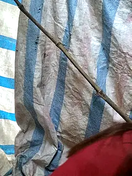 mit0-77 online show from 02-15-26, 12:51