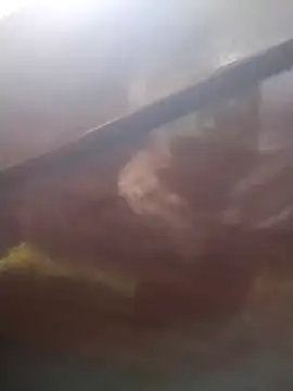 neko-nancy online show from 02-13-26, 02:24