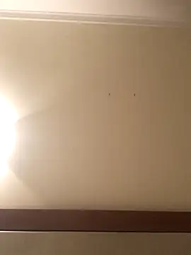 Palinchik online show from 01-07-26, 09:39