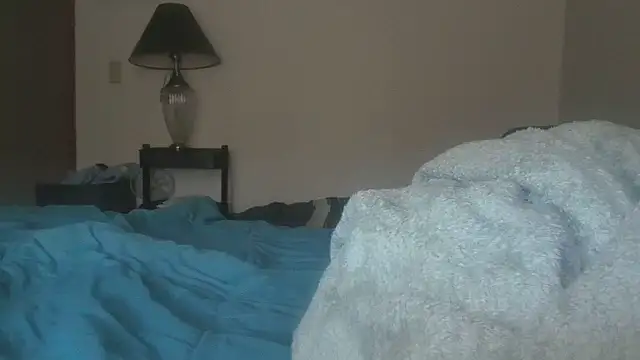 Snapshot of dixielover1229 chatting on 01-07-26, 05:04 dixielover1229 online show from 01-07-26, 05:04