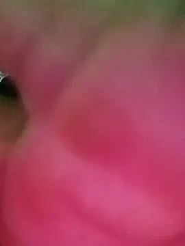 swartilodhi123 online show from 02-09-26, 04:00