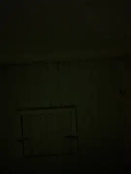 reckless 34 online show from 02-07-26, 11:52