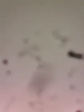 M8ygcthf3 online show from 03-22-26, 06:50