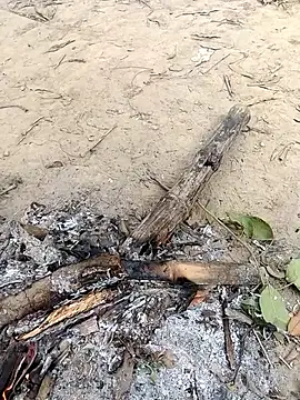 rahulsexybhabhi online show from 12-18-25, 05:02