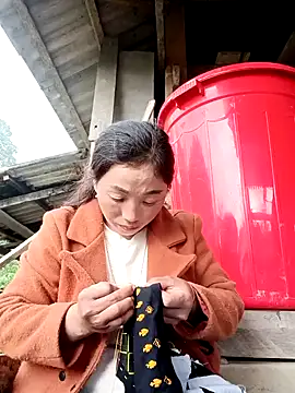 seacyre online show from 12-23-25, 01:36