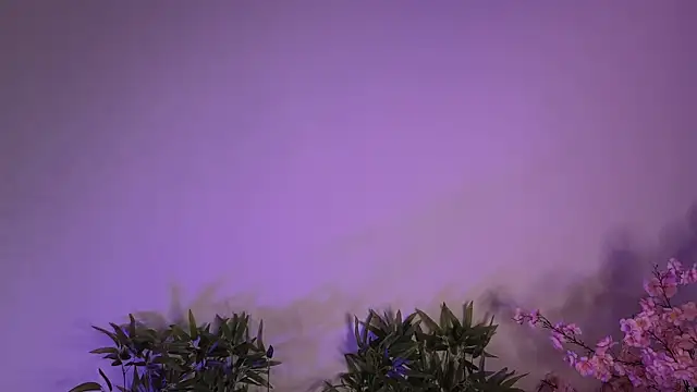 Snapshot of Mila_Whelson chatting on 01-17-26, 10:46 Mila Whelson online show from 01-17-26, 10:46