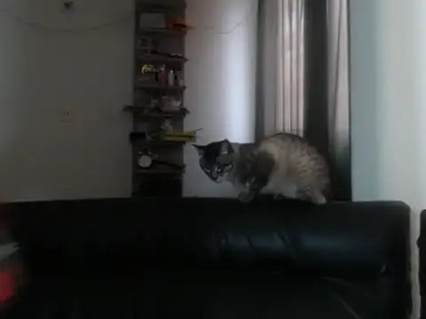 BeautyYoungblond online show from 02-03-26, 10:26