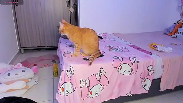 ammierouge online show from 02-08-26, 03:10