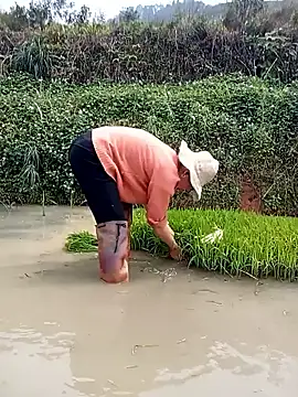 Girl cutee online show from 03-16-26, 06:39