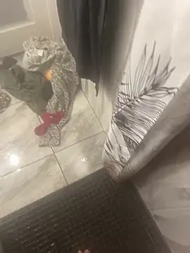 Miguel 667 online show from 02-09-26, 11:25