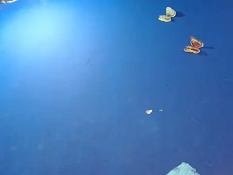 sk8-boy online show from 12-18-25, 01:39