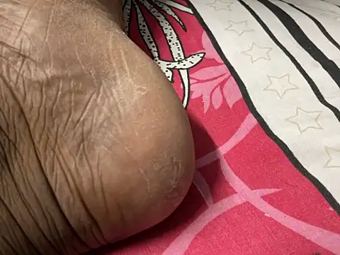 delhi real bull online show from 12-17-25, 04:24