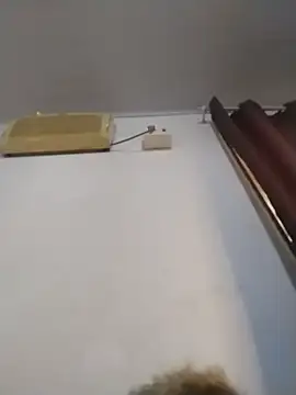 Snapshot of darkbombolete chatting on 12-20-25, 05:20 darkbombolete online show from 12-20-25, 05:20