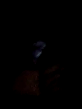 Snapshot of yourwellman chatting on 03-05-26, 05:20 yourwellman online show from 03-05-26, 05:20