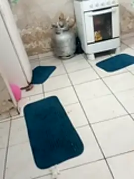 xxxxbucetuda  online show from 12-19-25, 03:52