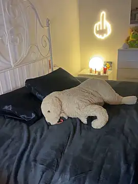 Snapshot of Tahero_98 chatting on 02-27-26, 08:31 Tahero 98 online show from 02-27-26, 08:31