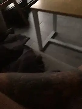 Snapshot of psilocibina22 chatting on 02-20-26, 09:21 psilocibina22 online show from 02-20-26, 09:21