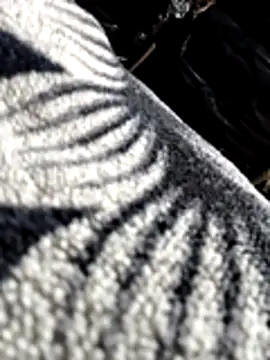 Snapshot of Bhavna8080 chatting on 02-20-26, 08:20 Bhavna8080 online show from 02-20-26, 08:20