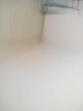 pene-rico13 online show from 04-03-26, 01:47