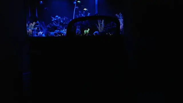 Snapshot of EspanolVato chatting on 02-15-26, 09:30 EspanolVato online show from 02-15-26, 09:30