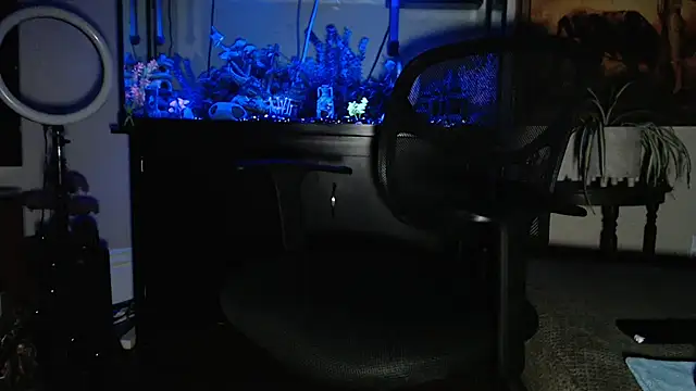 Snapshot of EspanolVato chatting on 02-19-26, 10:55 EspanolVato online show from 02-19-26, 10:55