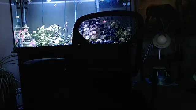 Snapshot of EspanolVato chatting on 03-26-26, 12:06 EspanolVato online show from 03-26-26, 12:06