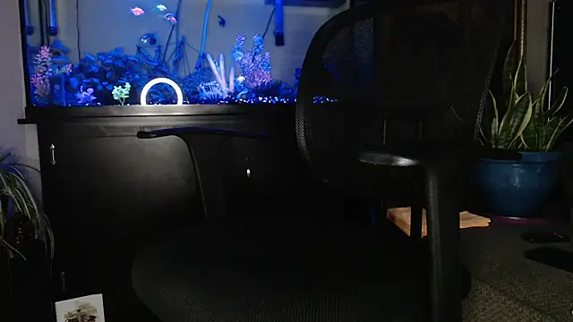 EspanolVato online show from 05-06-26, 09:36