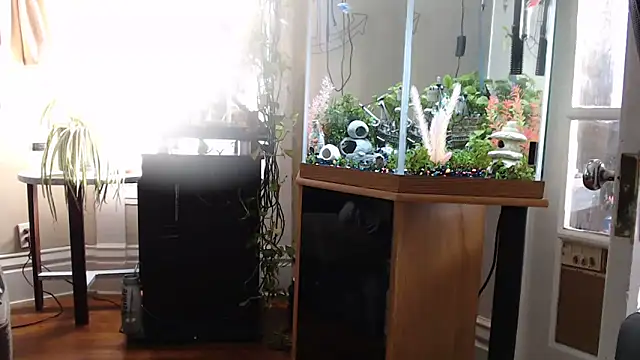 EspanolVato online show from 06-12-26, 10:19
