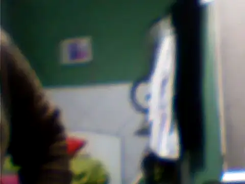 Snapshot of ger211 chatting on 07-12-26, 09:39 ger211 online show from 07-12-26, 09:39