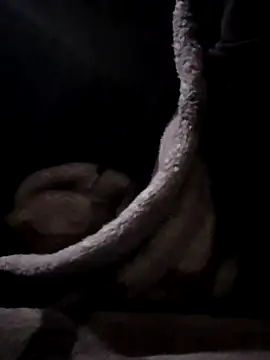 YoungAsainWithATrunk online show from 01-19-26, 12:09