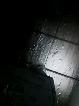 Snapshot of Sana-vn chatting on 03-24-26, 11:43 Sana-vn online show from 03-24-26, 11:43