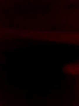 Ljijli online show from 02-28-26, 11:39