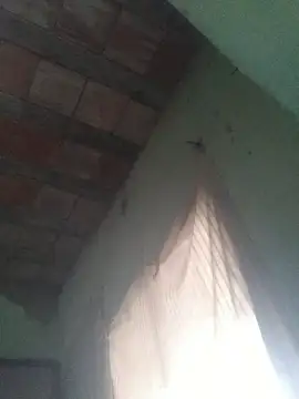 ferreirasantos123 online show from 02-08-26, 11:46