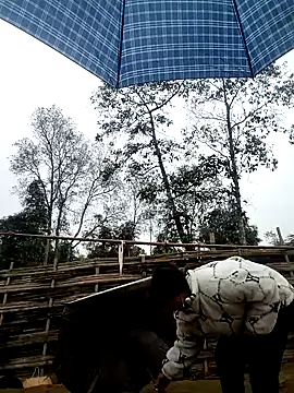 alycen online show from 02-03-26, 01:37