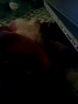 thich lo online show from 03-15-26, 04:35