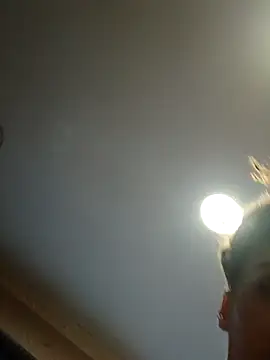 dear2002 online show from 01-17-26, 06:18