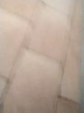 Snapshot of pikademel018 chatting on 02-28-26, 01:56 pikademel018 online show from 02-28-26, 01:56