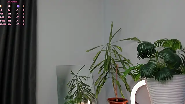 Snapshot of ManiJuanaa chatting on 05-08-26, 09:25 ManiJuanaa online show from 05-08-26, 09:25