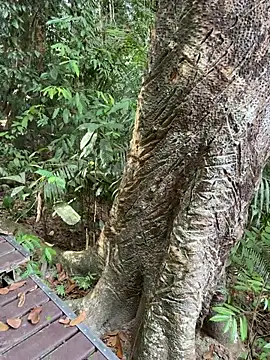 HOTLibertine online show from 02-09-26, 08:29