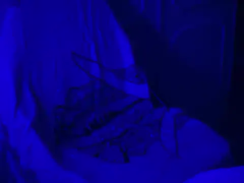 WarmSound online show from 01-17-26, 08:52