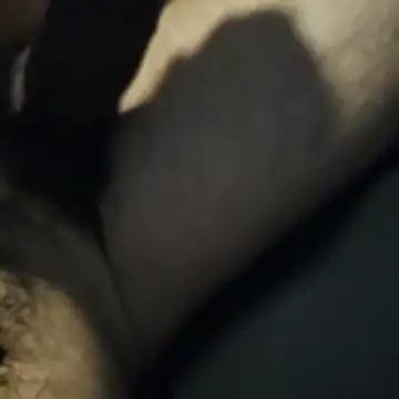 AnonymousTwinkie online show from 03-27-26, 02:06