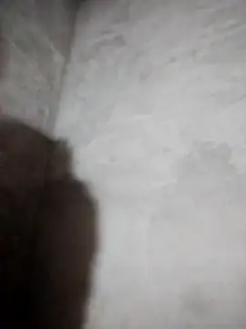 Snapshot of miray- chatting on 03-08-26, 05:50 miray- online show from 03-08-26, 05:50