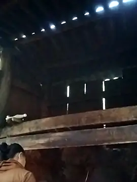 Snapshot of miray- chatting on 03-13-26, 10:33 miray- online show from 03-13-26, 10:33