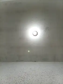 waltherworld online show from 02-06-26, 12:48