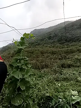 Mimi sweet1 online show from 03-21-26, 01:54