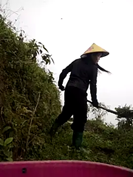 cdyyds-69 online show from 03-24-26, 01:21