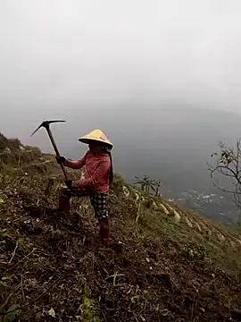 cdyyds-69 online show from 03-26-26, 02:50